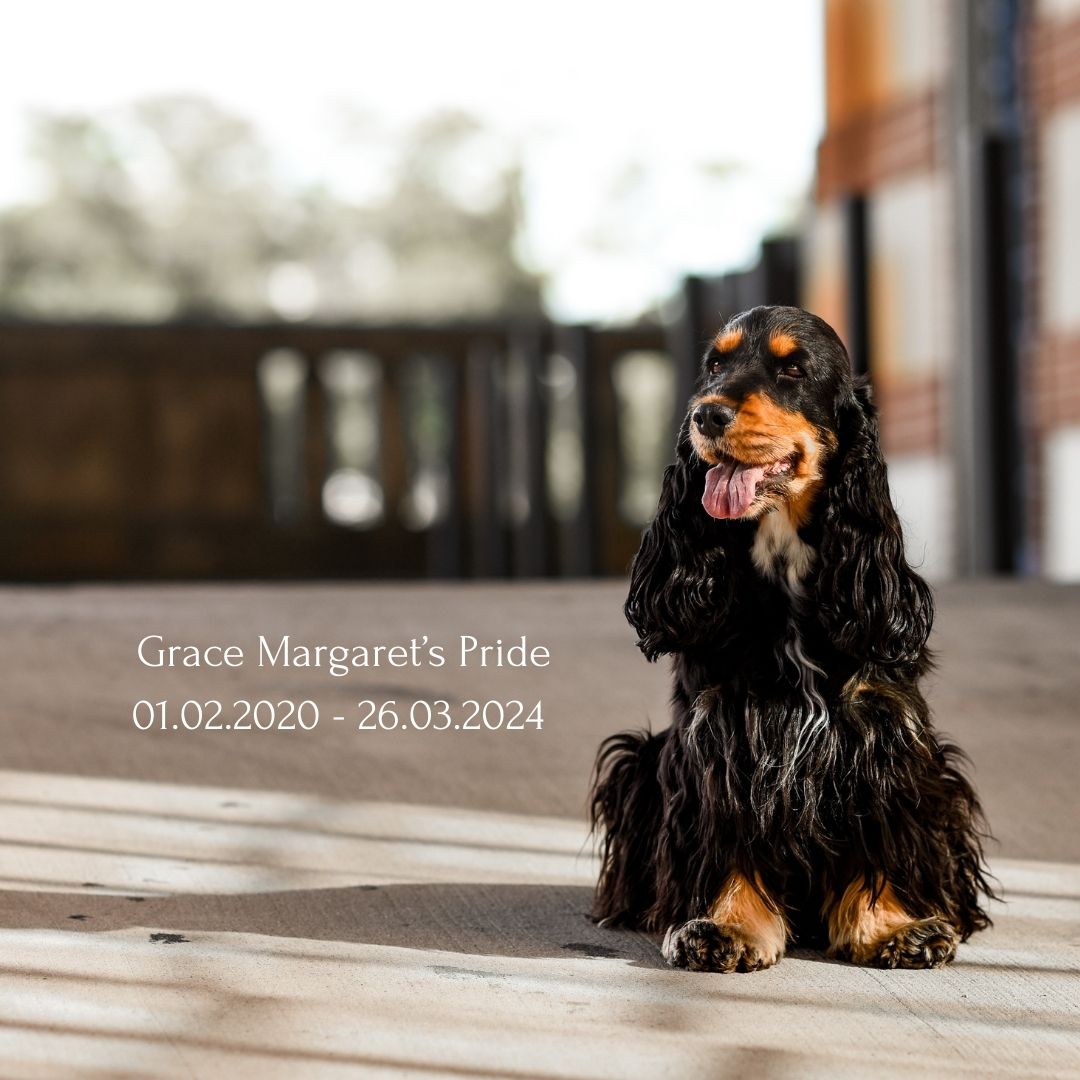 Grace Margaret's Pride