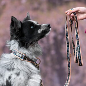 obroża i smycz przepinana słowiańskie opowieści border collie